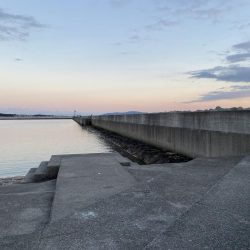 冬でもアナゴは絶好調！